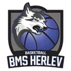 BMS Herlev